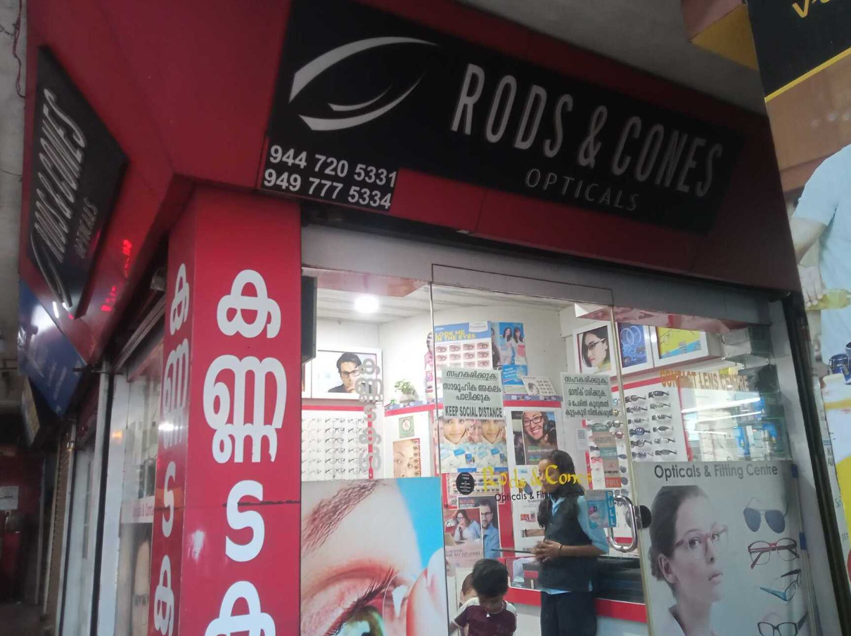 RODS AND CONES